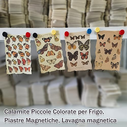 40 Pezzi Calamite Frigorifero.Tonde Calamite