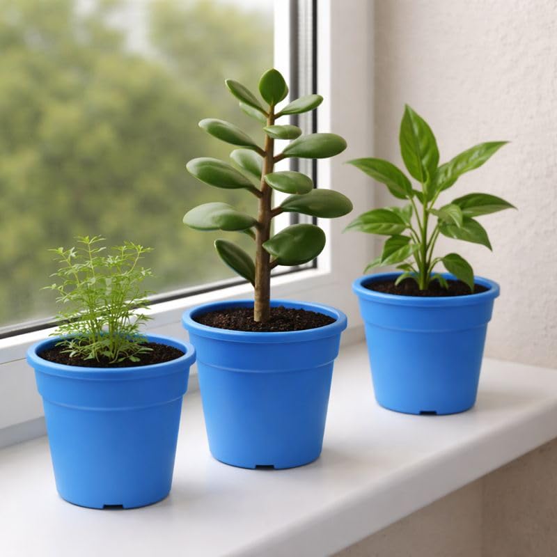Image of Indian Gardens - 4 inch Indoor (Pack of 10) Plastic Small Colour pots | Plastic Plant Pot for Terrace Garden (Blue)