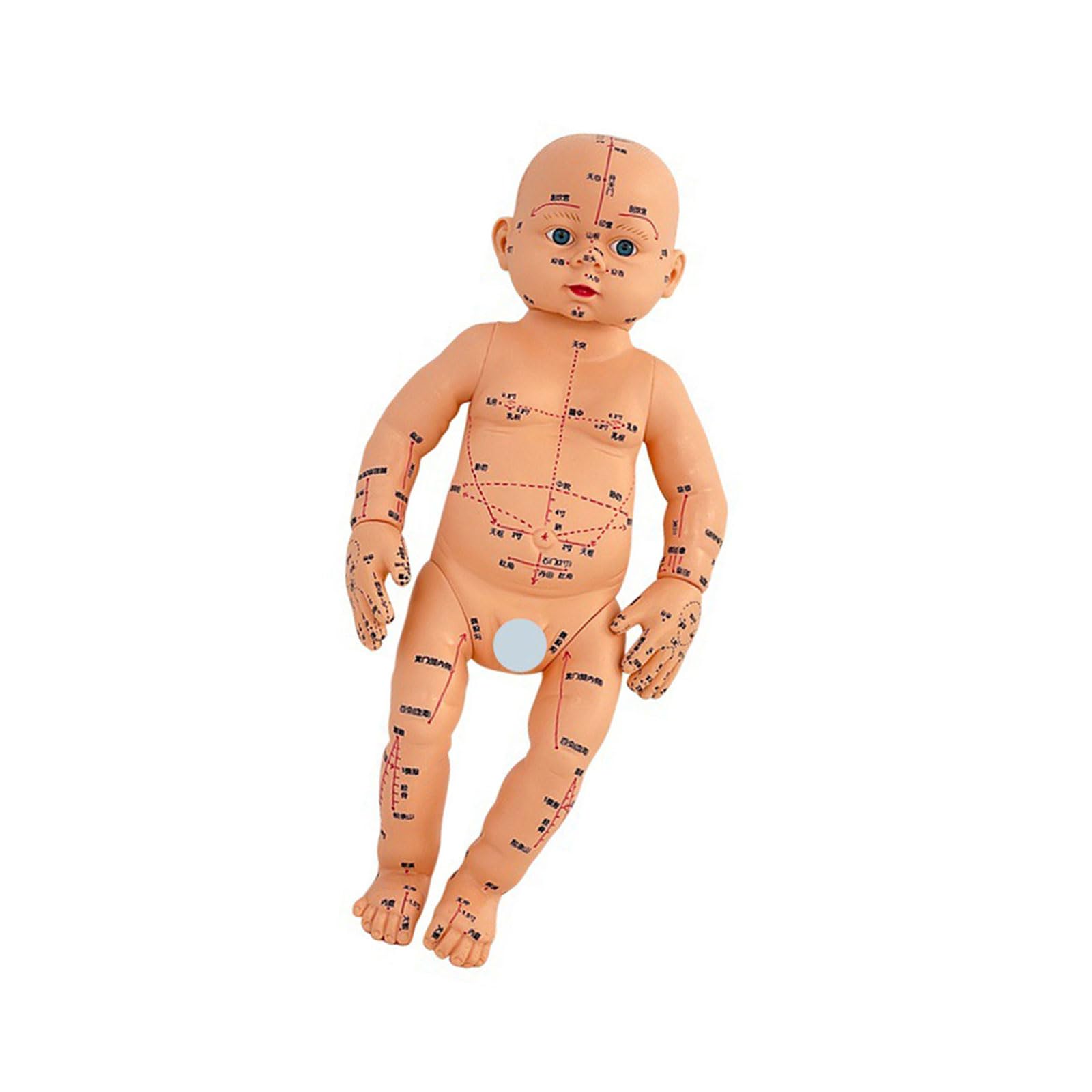 Modello di allenamento professionale per neonati con punti di agopuntura contrassegnati per la formazione nella cura dei neonati e la cura domestica, modello di massaggio pediatrico