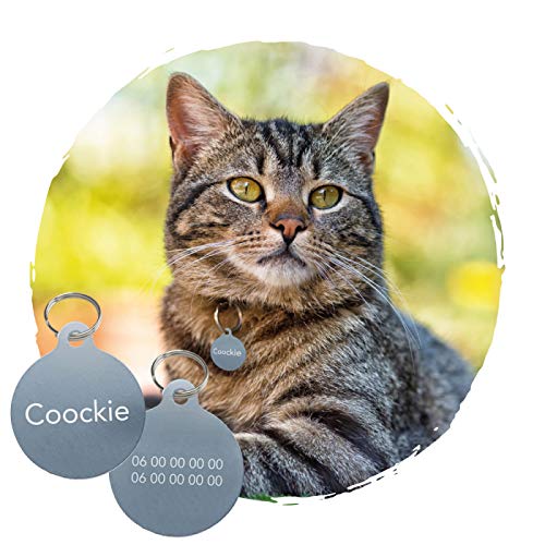 Adzif.biz Le sticker de decoration - Medaille Chat Avec Gravure Personnalisé ROND - Médaillon Chat En Aluminium diamètre 25 mm - Coloris Argent