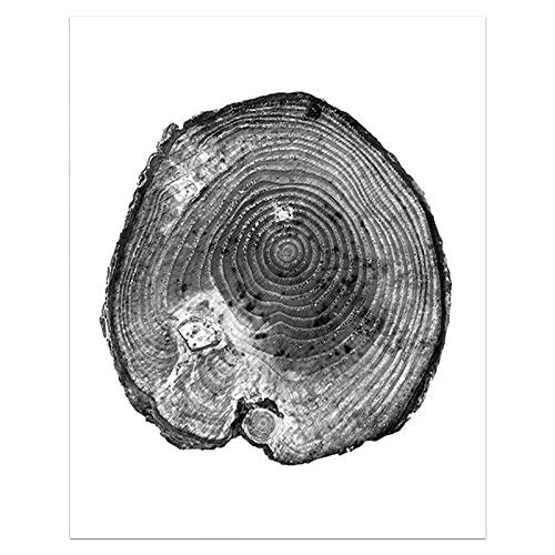 Affiche arbre noir et blanc 40x60 cm triptyque nature moderne - 4