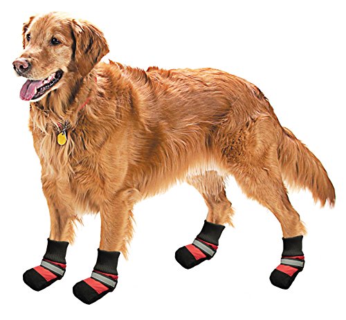 Pistachio Pet - Botas de Lluvia para Perro con Suela Antideslizante (Negro/Rojo, XXXS)