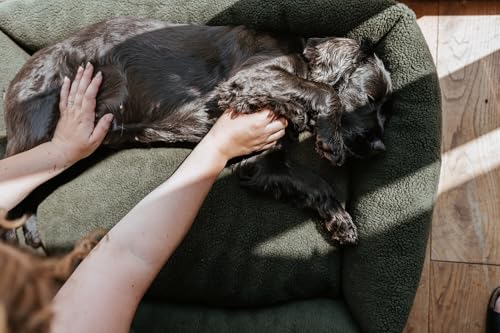 HUNTER Hundesofa KUMARA, Farbe: Khaki, kuschelig weicher Teddyplüsch, Rutschhemmende Unterseite, wendbares Innenkissen, trendig, großzügige Füllung, Bezug maschinenwaschbar, Größe: 80 x 60 cm