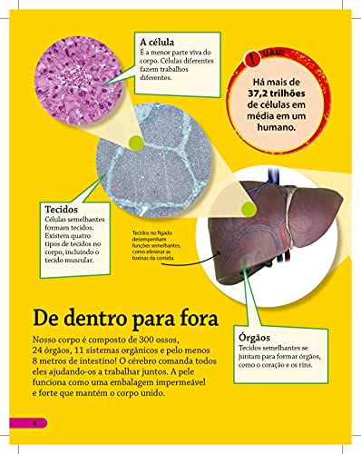 Descubra! Corpo Humano - Fatos divertidos, fotos incríveis e testes