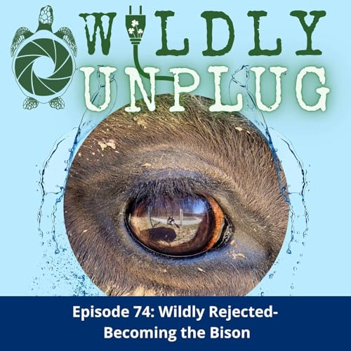 Wildly Rejected- Becoming the Bison
