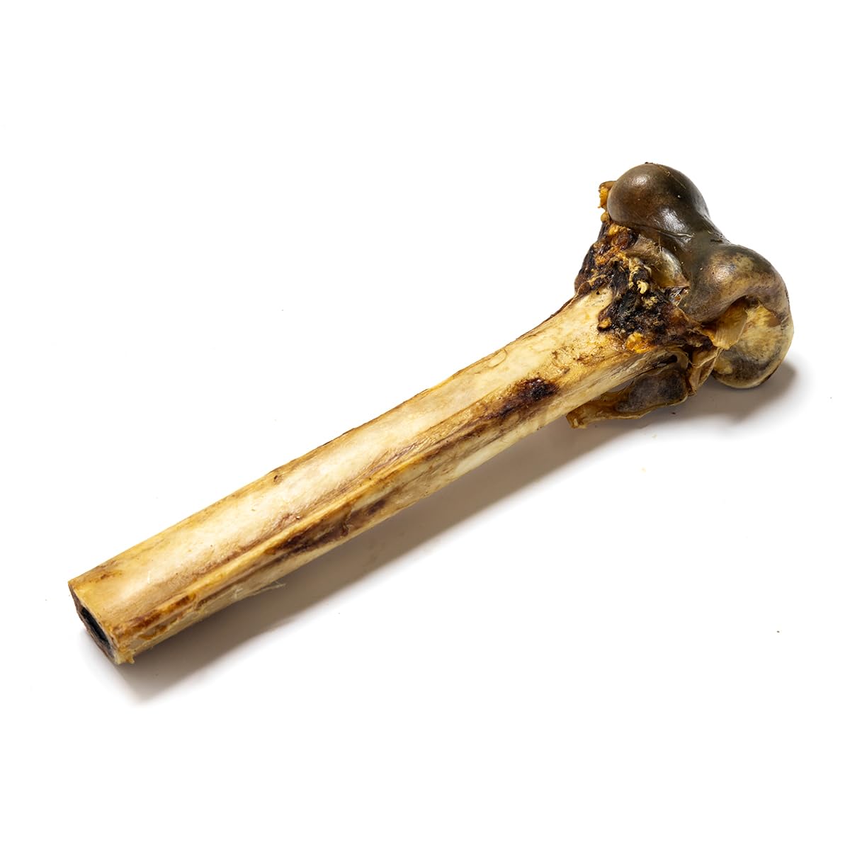 Natural Treats Ostrich Metatarsus Bones (1pc) for Dogs Hypoallergenic Long Lasting Dental Chew Treats