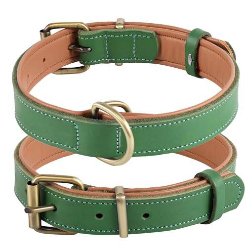 Collier pour Chien en Cuir, Collier pour Chien de différentes Tailles et Couleurs, véritable, Robuste, Confortable, Rembourrage intérieur Doux avec Design de Couleur...