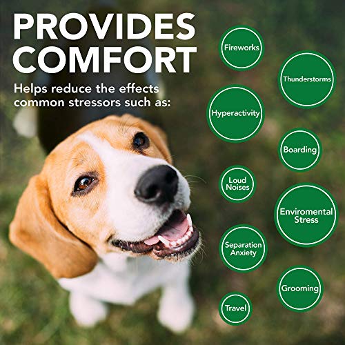 Vet's Best Comfort Calm Calming Dog Supplements - Fördert Entspannung und ausgewogenes Verhalten (60 Tabletten)