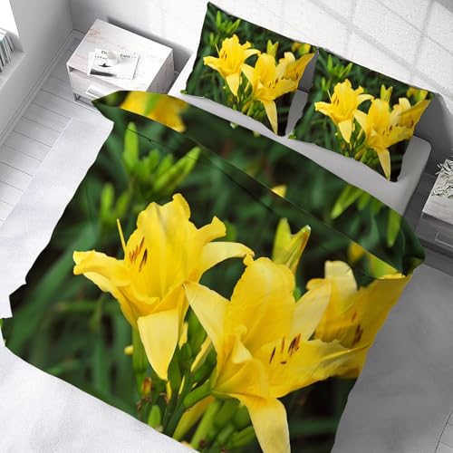 zcJo[Zbg _u 3_Z  QJo[ZbgzcJo[|GXe100 DG _炩 ʋC ^Cvh_jlGʗp(210x210cm)2 Jo[(43x63cm)