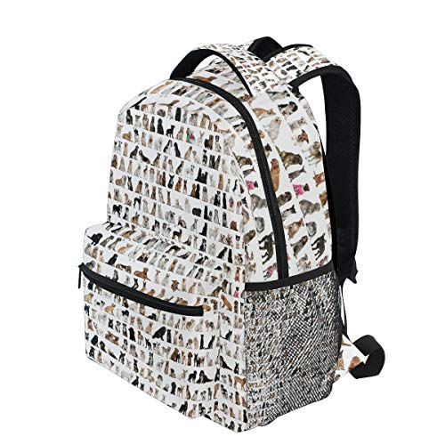 Stylischer Sugar Skulls Rucksack Für Schule & Freizeit – Leicht, Wasserabweisend, Mit Laptopfach