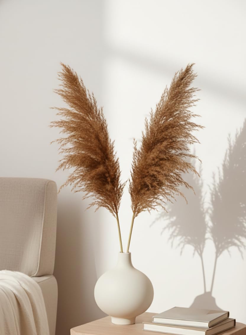 Versailles Preserved White Pampas Grass Bundle - Decorative Dried Grass for Home Decor, Wedding Arrangements, Vase Styling, and DIY Crafts - Clean and Elegant Natural Decor-picture-35