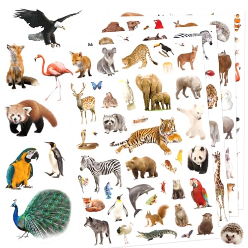 Wild Animals Stickers 750 Count Safari Jungle Animal Woodland Wildlife Zoo Creatures Stickers Party Favors Gifts Sticky Decor for Scrapbook Calendar Planner Gift Wrap Decor