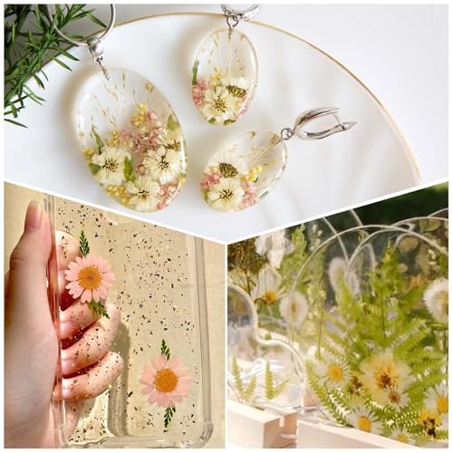 80 piezas de hojas secas prensadas para artesanía miniatura 6