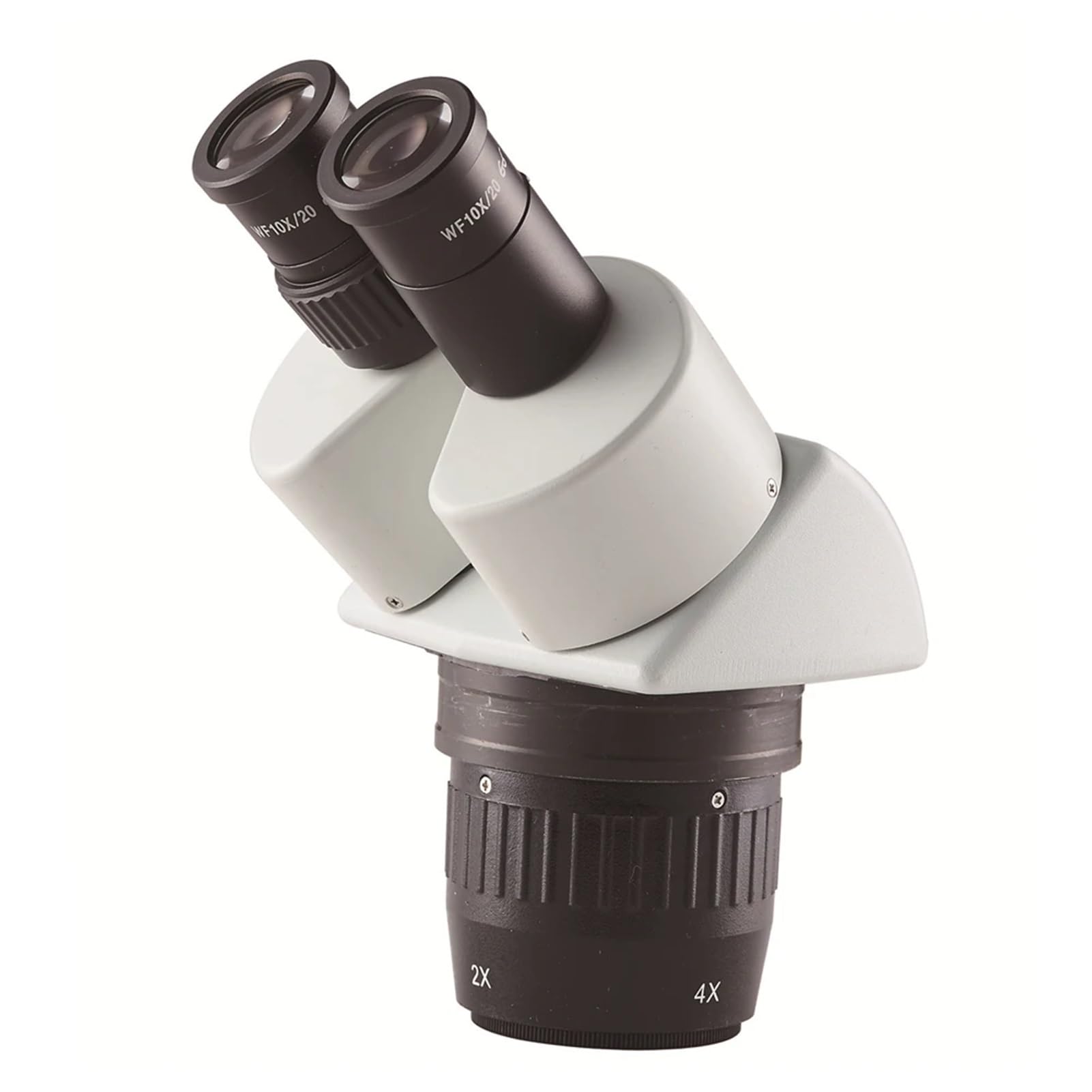 Microscopio Stereoscopico Binoculare con Zoom 10X/30X E Base Ampia - Xt-60-B3 per Hobbisti E Professionisti