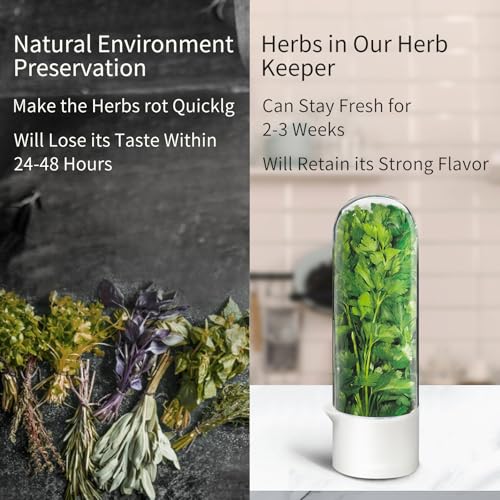 Image of Herb Keeper for Refrigerator, Herb Saver for Refrigerator, Vegetable Preservation Bottle for Cilantro, Mint, Parsley, Asparagus, Keeps Greens Fresh for 2-3 Weeks (1PCS)