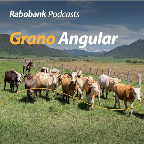 Mercados agropecuarios, aranceles, informes y más