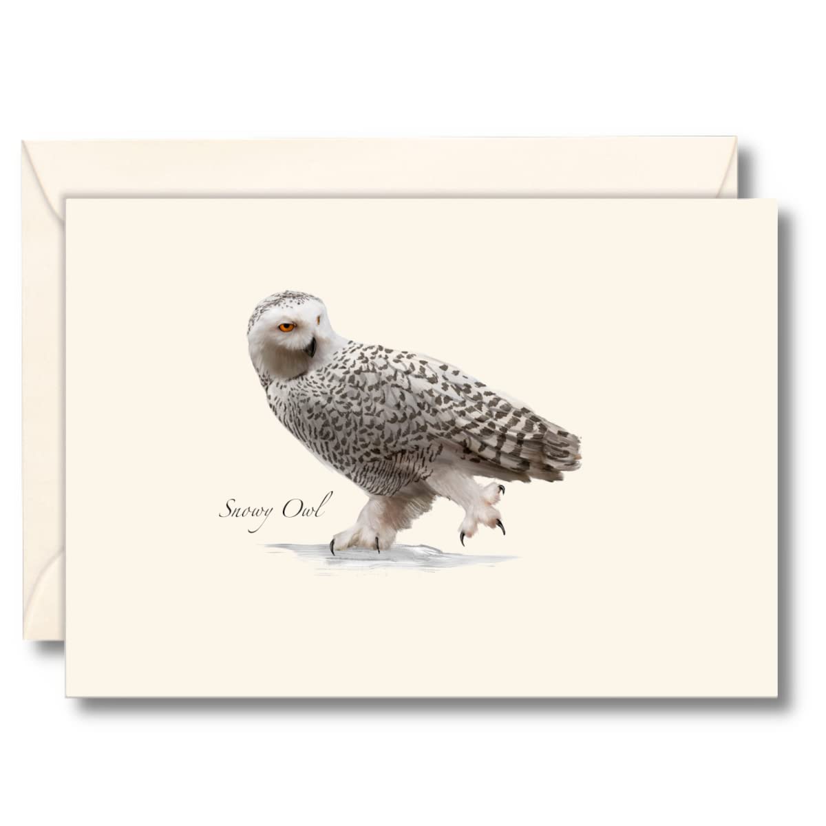 Earth Sky + Water - Snowy Owl Notecard Set - 8 Blank Cards with Envelopes