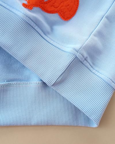 Image of AIWUHE Toddler Cotton Sweatshirt Boys Girls Pullover Long Sleeve Tops 2-6Y