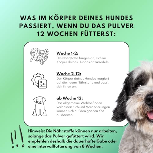 people who kaer Zahn Frische Pulver für Hunde, 3 x 200g – 2-in-1 Zahnpasta & Ergänzungsfutter, Zahnpflege Hund, unterstützt bei Maulgeruch & Zahnstein, Zahnpulver Hund, Hundezahnpasta