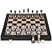 Luxury Large Metal & Acrylic Chess Set with Wooden Chess Board (17”) – Weighted Chess Pieces with 3.5” King, Foldable Tournament Chess Set for Adults & Kids, Professional Chess Game Set