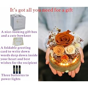 Valleyofrainforestlonglastingrealflowersuniquefloralgiftforyoutosendloveforalloccasionsforindoordecorationorangerosechampagnerosefallthemed  Urban Country Home Decor Valley of rain forest long lasting real flowers unique floral gift for you to send love for all occasions for indoor decoration orange rose champagne rose fall themed  urban country home decor