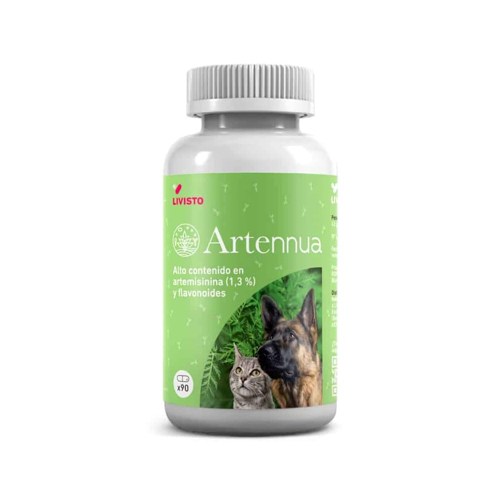 ARTENNUA 90 CAPSULAS