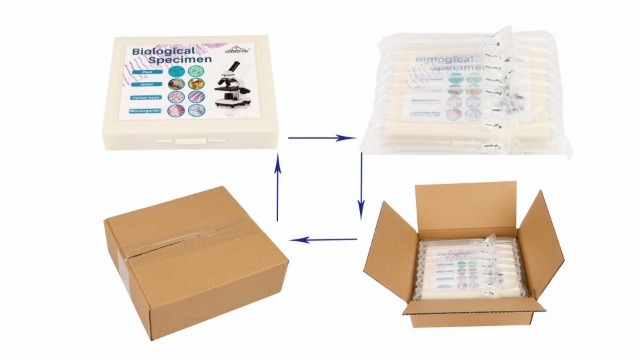 100P Mikroskop Objektträger Präparate, Objektträger Mikroskop mit Biologischen Proben, Insekten Pflanzen menschliche… – Bild 8