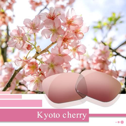 Image of Polarized Replacement Lenses for Oakley Holbrook XL Sunglasses-Multi Options,with Lens Cloth