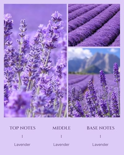 Aromadd Lavender Diffuser Oil Inspired by Luxury Hotel Scent, Essential Oils for Waterless Diffuser, Pure Soothing Lavender Aroma, Long-Lasting & Natural Home Fragrance - 3.38 fl oz (100 mL)
