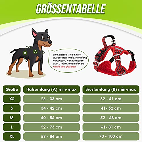 Eyein Hundegeschirr für Kleine Mittelgroße Hunde, Air Mesh Atmungsaktiv Brustgeschirr mit weichem Griff und Abschließbare Karabiner, ausbruchsicher reflektierend Hund Geschirr für Welpen, Rot, XS