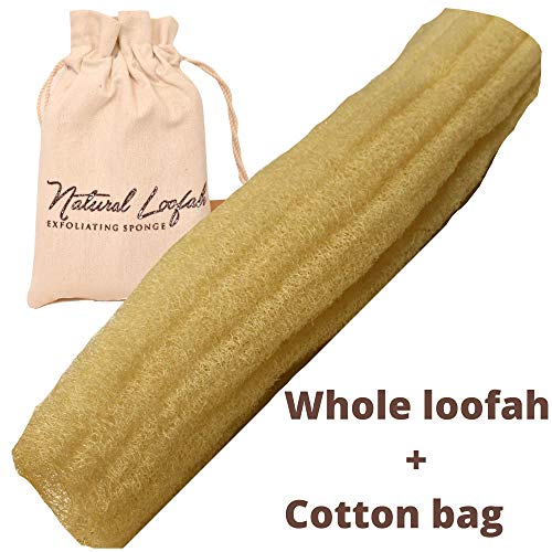 One Whole Egyptian Loofah 100% Natural SPA Beauty Bath Sponge Body Scrubber Puff. Premium Quality Lofa Loofa Luffa Loffa for exfoliating Your Skin.