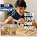 PATHFINDERS STEM Kit – Leonardo da Vinci Bombard Cannon | Science Kits for Kids Age 12-14 | stem Age 12-14 Physics Toys | Kids Engineering kit