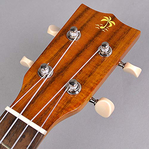 Amazon.co.jp: ILIKAI IL-SOP-4KGG ソプラノウクレレ : 楽器・音響機器