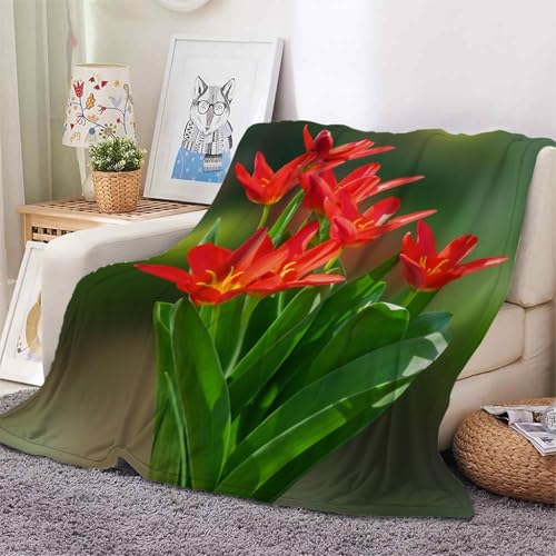 Plaid polaire tulipes rouges contre le froid lit simple chaud - 4