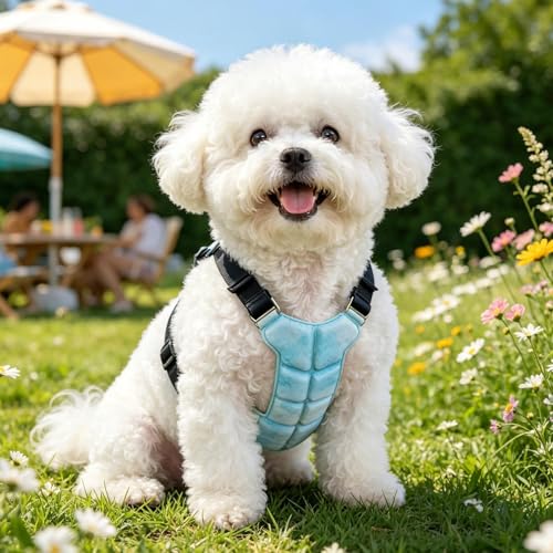 Chaleco refrescante para perros contra el calor extremo ajustable 4