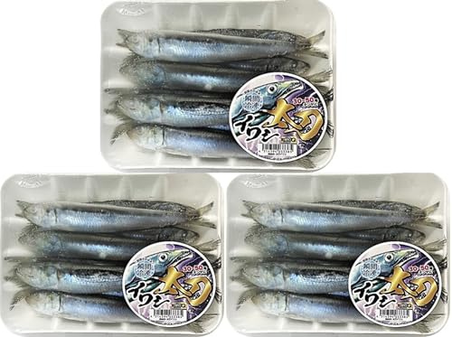 HIROKYU(ヒロキュー) 太刀イワシ 8尾入り 約320g 釣りえさ用冷凍イワシ (3)