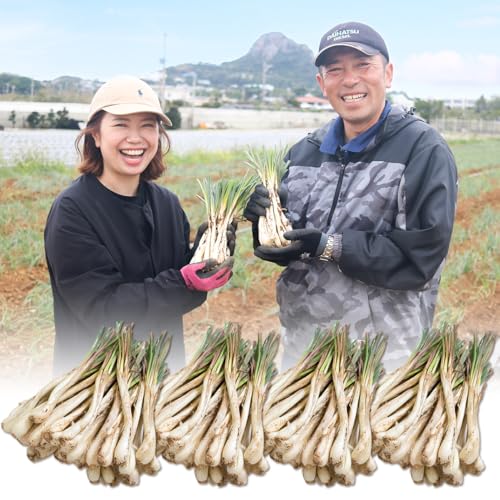 ���ꌧ�ɍ]���Y �`�l���o�^�P�̓�������傤4kg ���i�y�t���j ���K�}�[�W �ɍ]���_�Ƒg�� ���i�p���j�V���J ������