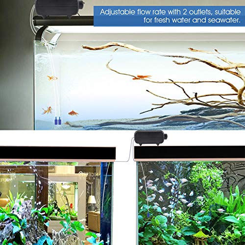 Best Aquarium Air Pump for Multiple Tanks