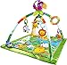 Fisher-Price Music & Lights Deluxe Gym, Rainforest