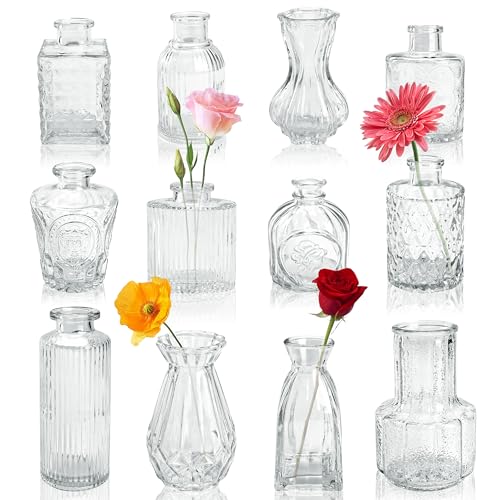 BTSD-home 12 Stück Vasen Set für Blumen, Kleine Vasen für Tischdeko, Hochzeitsdekorationen, Deko...