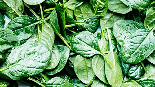 Image of Palak seeds desi (250 seeds)