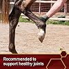 Vita Flex Pro Horse MSM Quality Joint Supplement, 10 Pounds