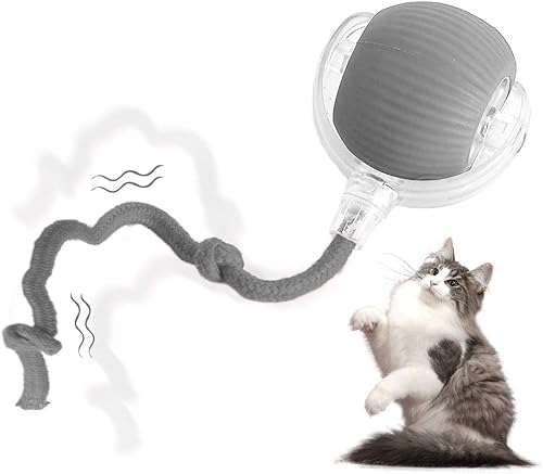 Juguetes interactivos para gatos de interior, pelota de juguete interactiva para mascotas, pelota de juguete para gatos aburridos de interior, bola