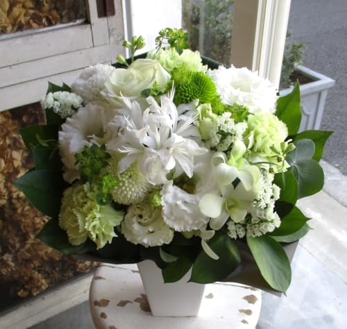 su`sIo y { t[AWg 5,000~ z  ybg݉ ybg       ybg    Mtg   l\  ފ V~ ~  @