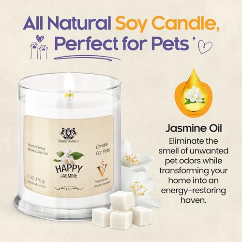 Gerrard Larriett: Velas perfumadas de jasmim feliz para decoração de casa e odores de animais de est
