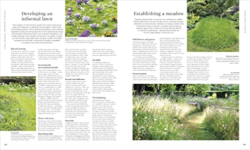 Image of RHS Encyclopedia of Gardening New Edition