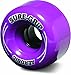 Sure-Grip Outdoor Aerobic Wheel - Purple