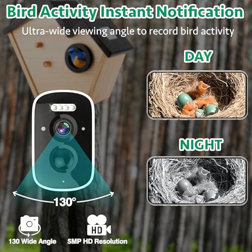Bird House with Camera,Birdhouses for Outdoors Waterproof Solar Powered, 2K HD AI Camera Recognition for Over 10,000 Species, Real-time Videos & Pictures, Birdhouse Kit for Bird Lovers (Green)