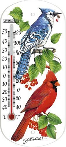 Decor Thermometer-image-42