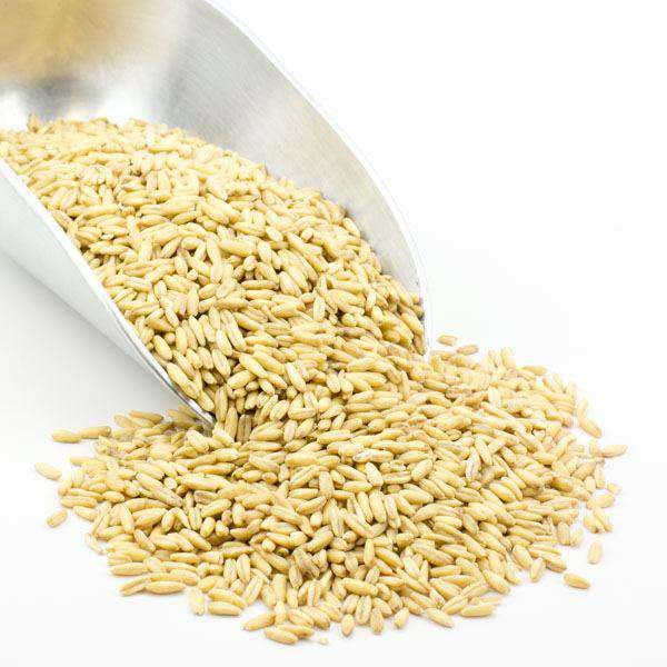 Avena en Grano Orgánica Grain Millers, 25 lb